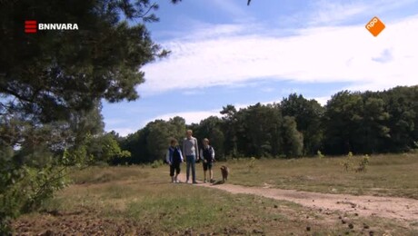 Kinderen voor Kinderen Op weg naar, Live in Con...